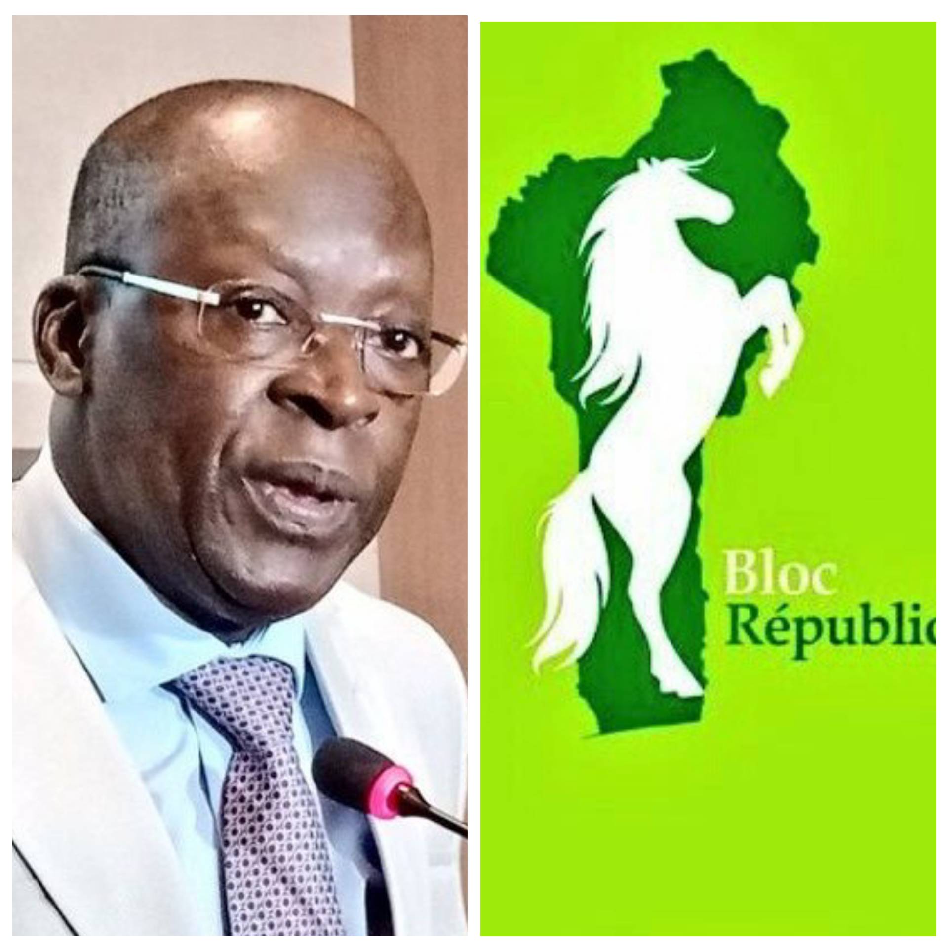 Diaspora béninoise : le BR s’implante en Amérique avec un bureau politique de 31 membres