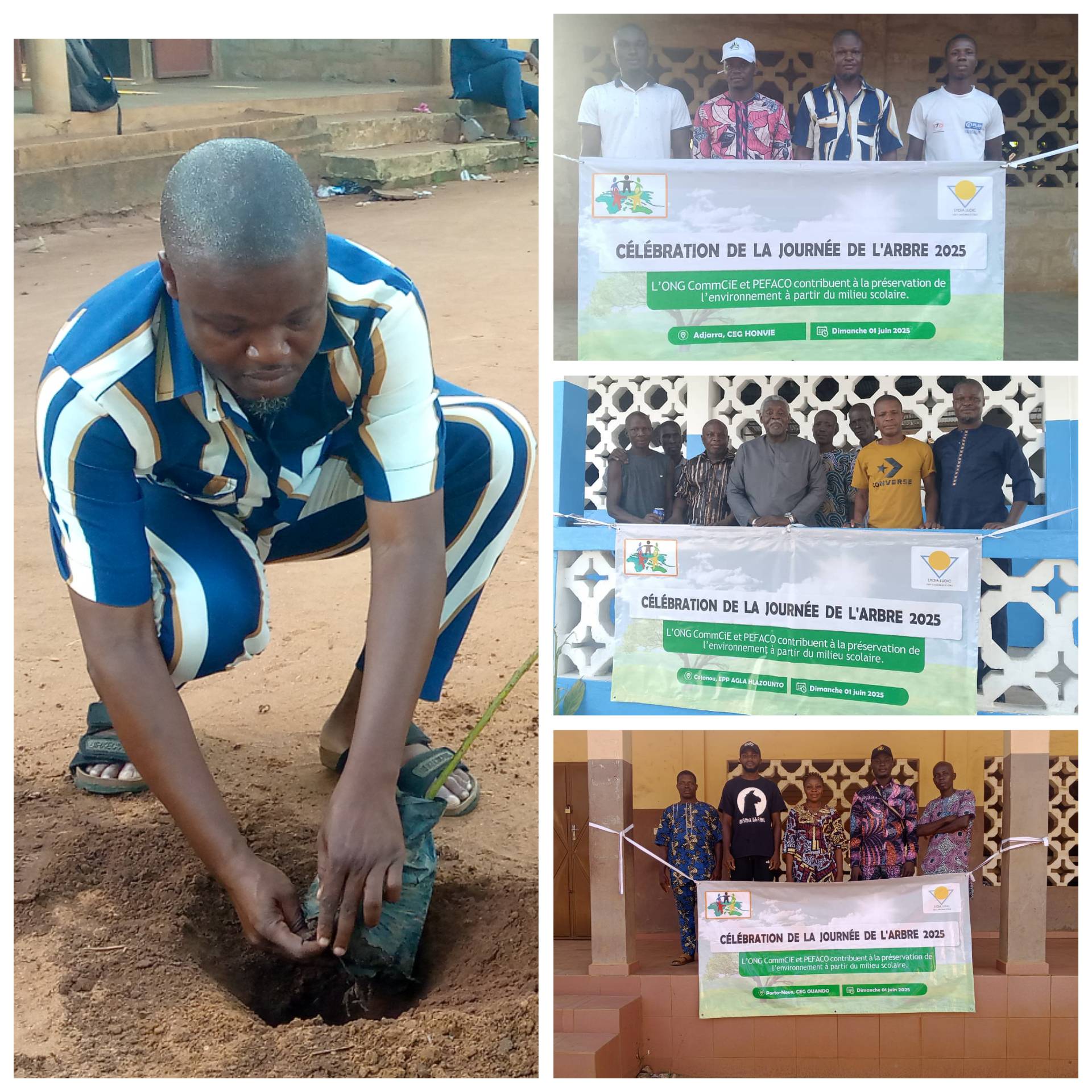 Journée nationale de l’arbre 2025 : ONG CommCiE et PEFACO mobilisent pour reverdir Honvié, Ouando et Agla Hlazounto